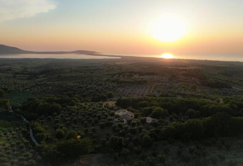 בית מלון כפרי Masseria Procacci