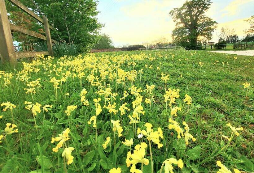 بنسيون Huntstile Organic Farm