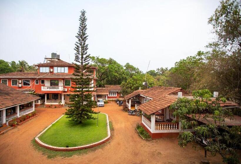 펜션 Nomadgao Vila Nova Comfort, Great Views, Fast Wifi & Interesting People