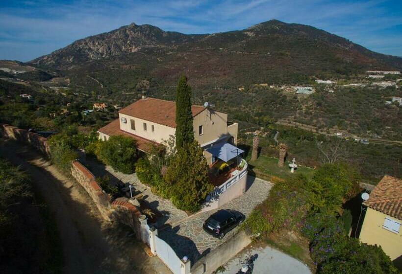 مبيت وإفطار In D Noi