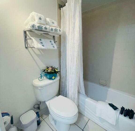 Daytona Beach Resort Oceanfront Condostudio