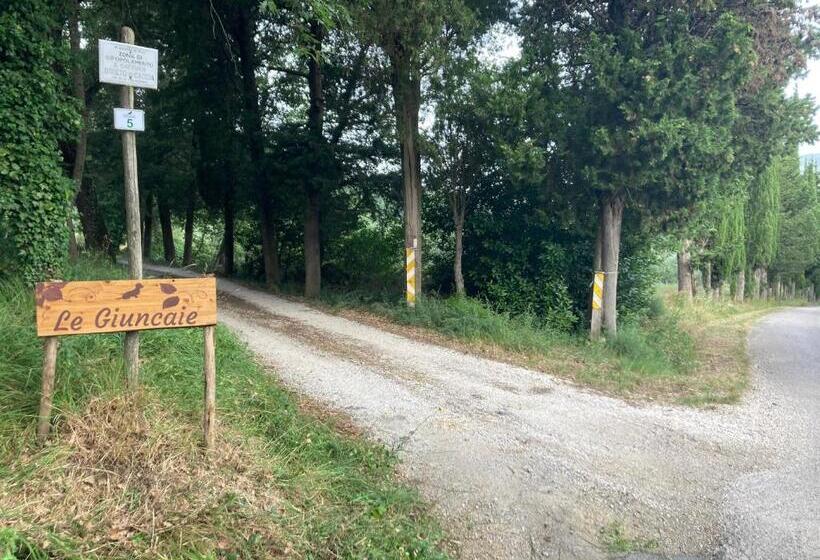 فندق Le Giuncaie Vigna Con Alloggio