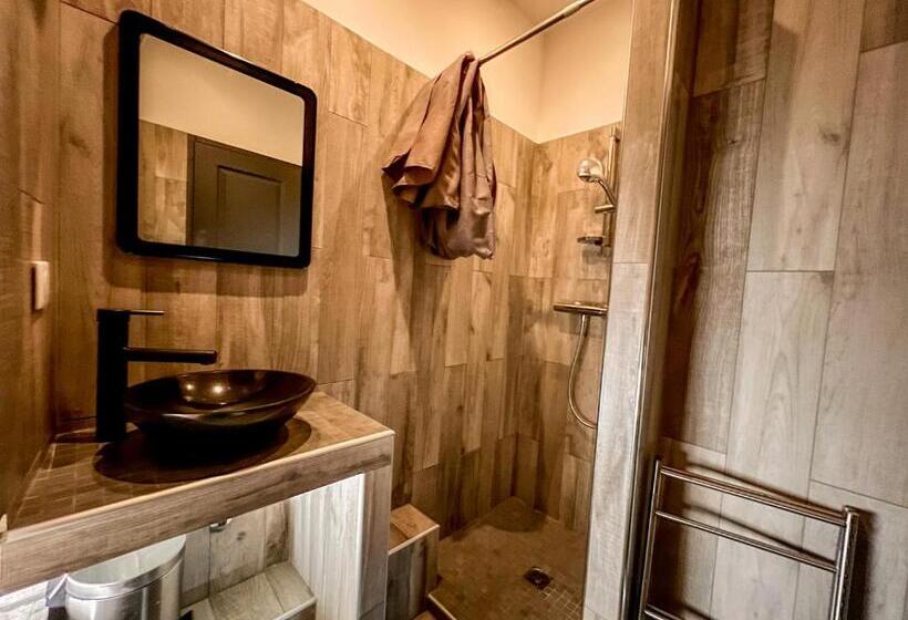 Les Studios Du Pêcheur   Hypercentre   Clim   City Trip