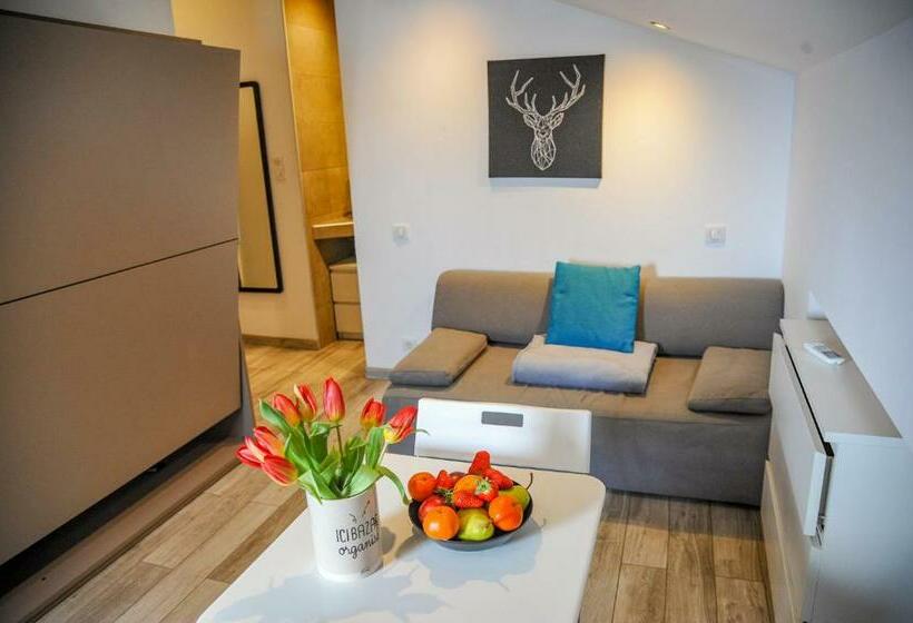 Les Studios Du Pêcheur   Hypercentre   Clim   City Trip