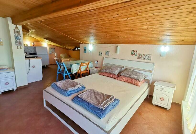 بنسيون мансардно студио вила фани