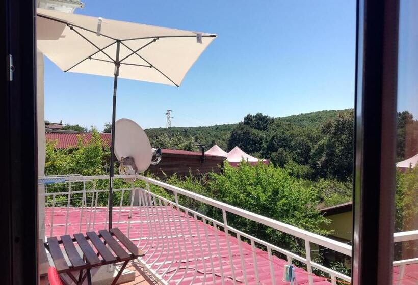 بنسيون двойна стая вила фани