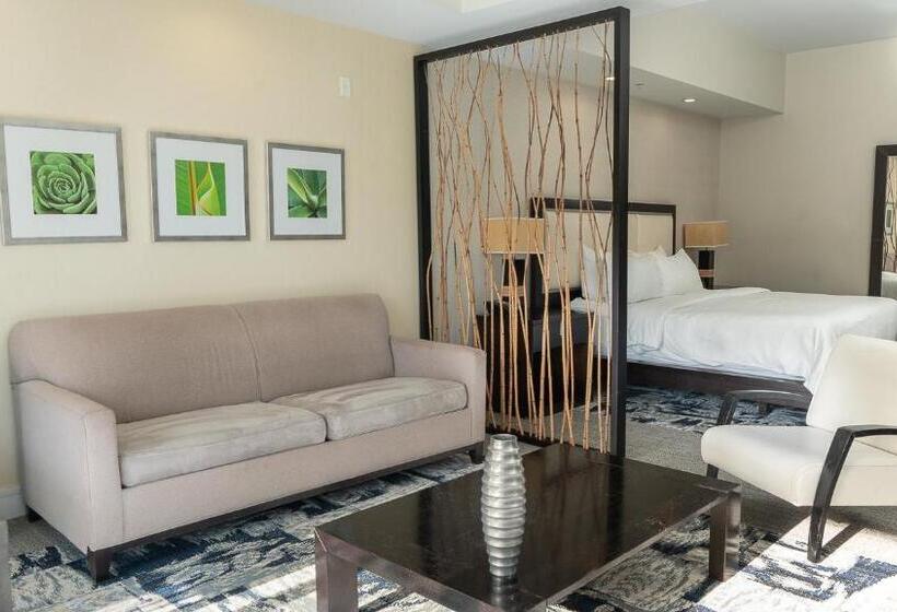 Modern Private Studio   King Bed, Jacuzzi, Balcony And Pool