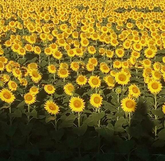 פנסיון Casa Marblu Via Cairoli, 47 Corciano