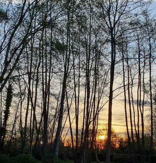 بنسيون Le Clos Joly 14