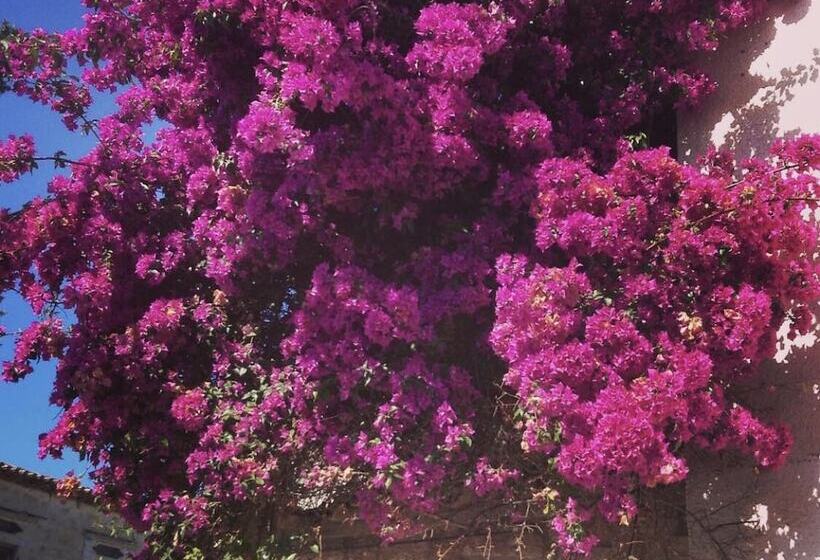 مبيت وإفطار Yukari Sokak Vip Butik Otel