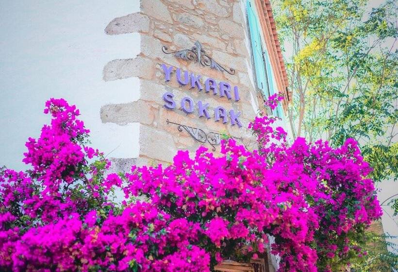 مبيت وإفطار Yukari Sokak Vip Butik Otel