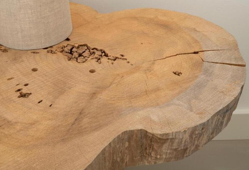 فندق Cedros Nature House