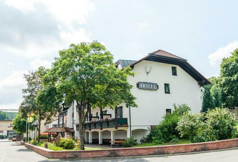 酒店 Gasthof Schmucker