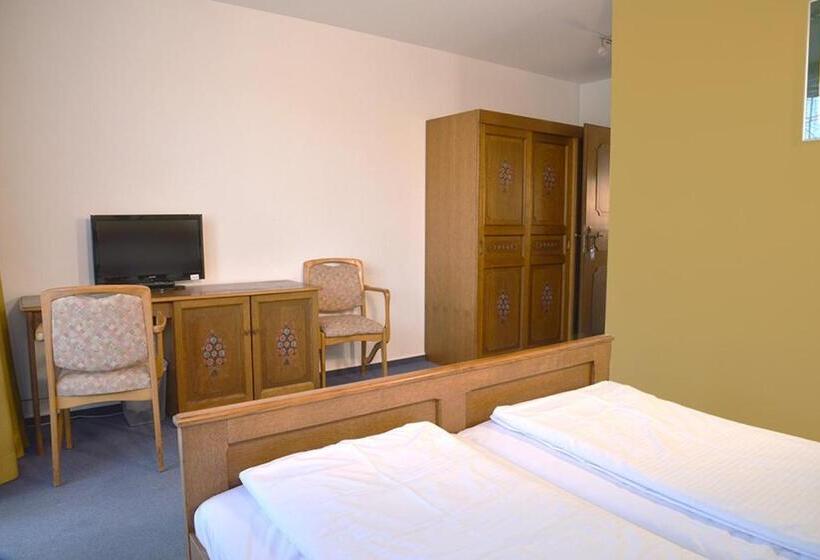 酒店 Gasthof Schmucker