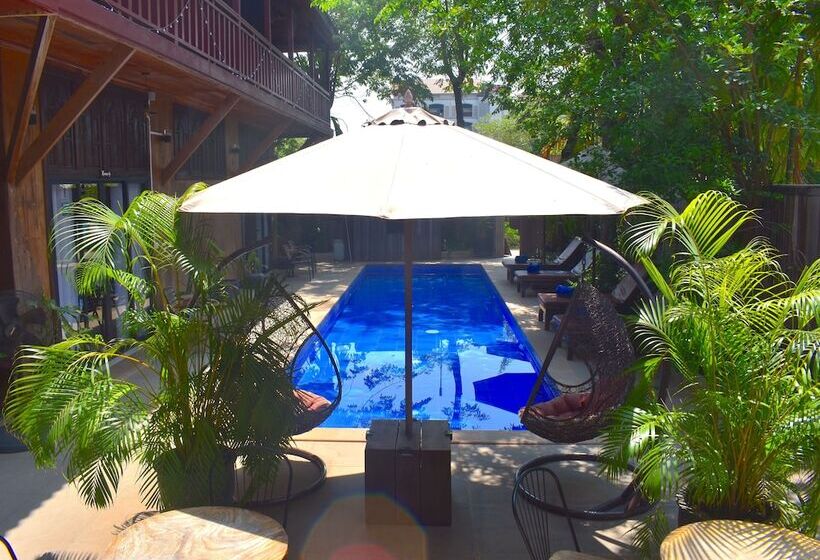 پانسیون Three Little Birds