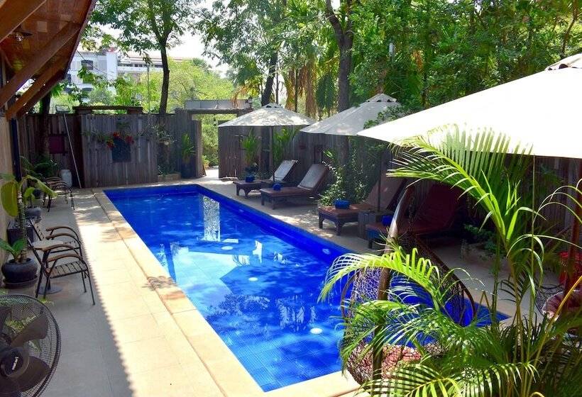 پانسیون Three Little Birds