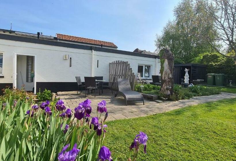 Roos Guesthouse Holiday Appartements