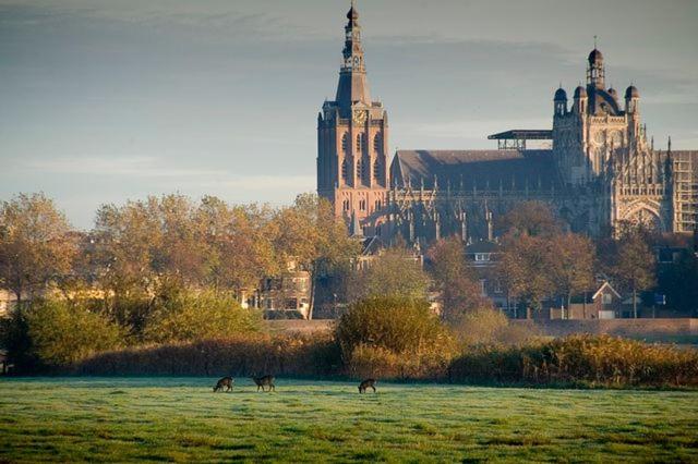 住宿加早餐  De Merel