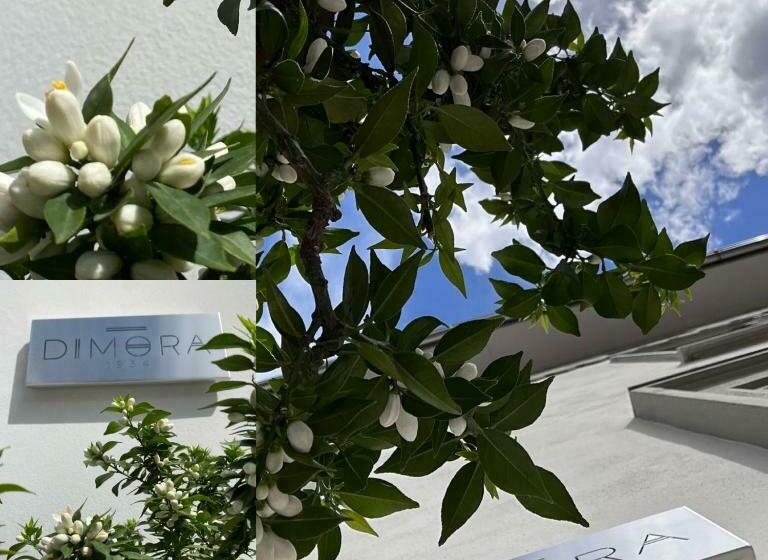 تختخواب و صبحانه Dimora1934 Relax&comfort