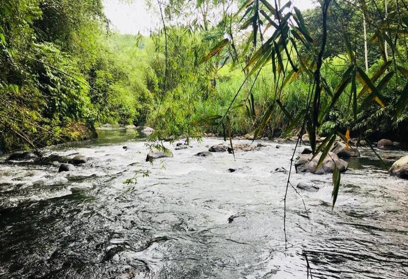 Finca Hotel El Laurel Parque Del Café