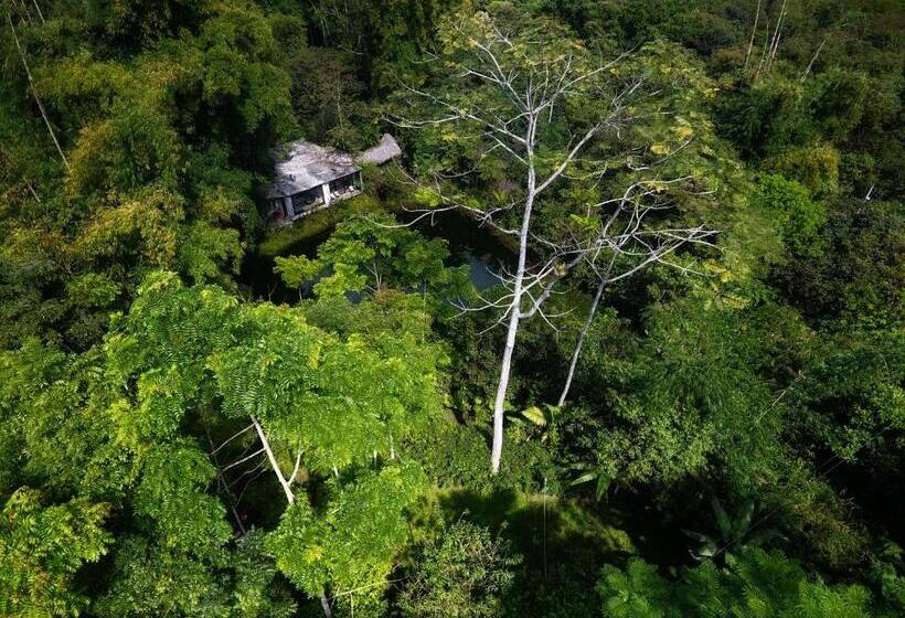 هتل Cantalarana, Antes Wikiri Lodge