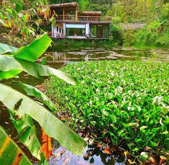 هتل Cantalarana, Antes Wikiri Lodge