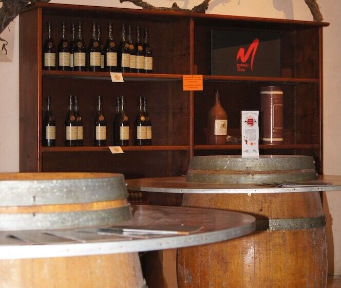 酒店 Château De Mons Armagnac