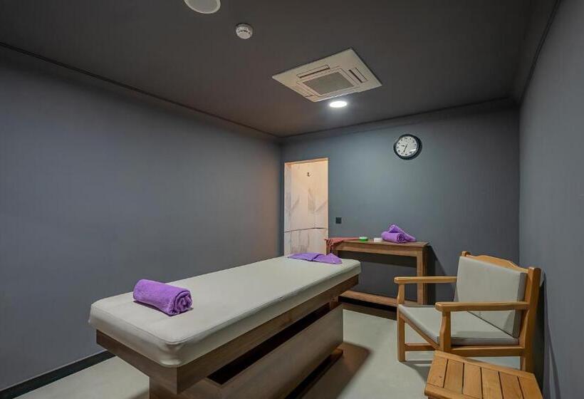 Отель Erta Soyak Thermal