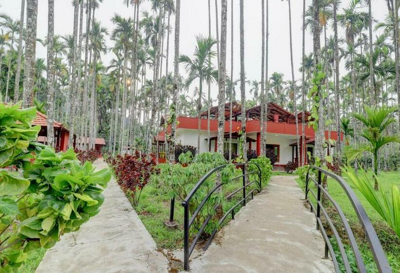 هتل Ezzenza Areca Resort