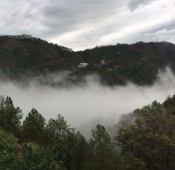 ホテル Misty Meadows Resorts