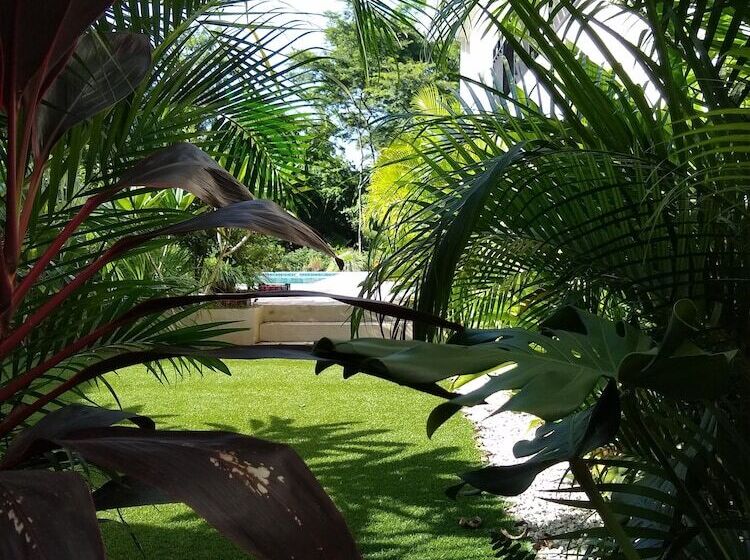 هتل Palm Beach Inn