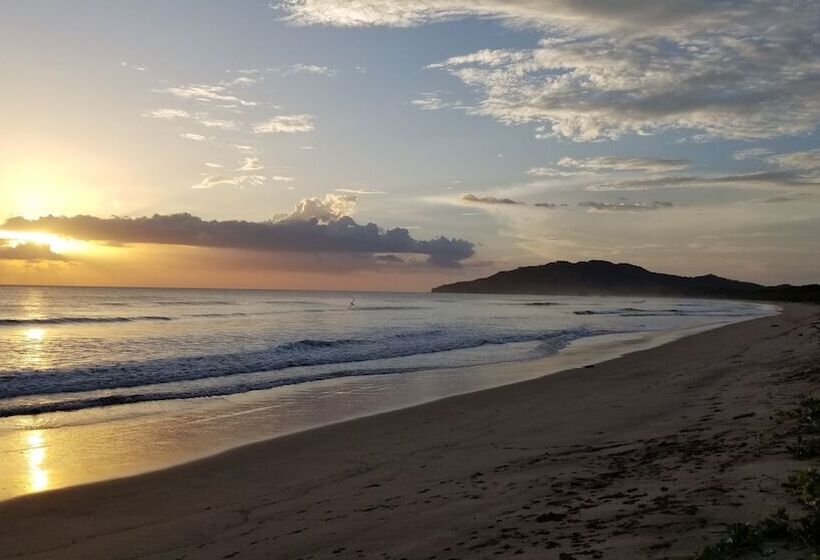 호텔 Palm Beach Inn