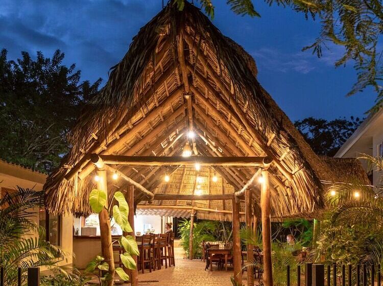 호텔 Palm Beach Inn