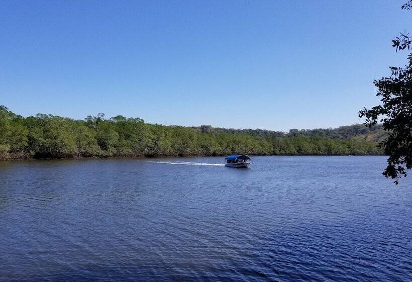 호텔 Palm Beach Inn