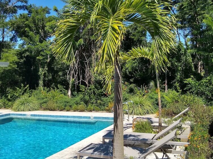 호텔 Palm Beach Inn