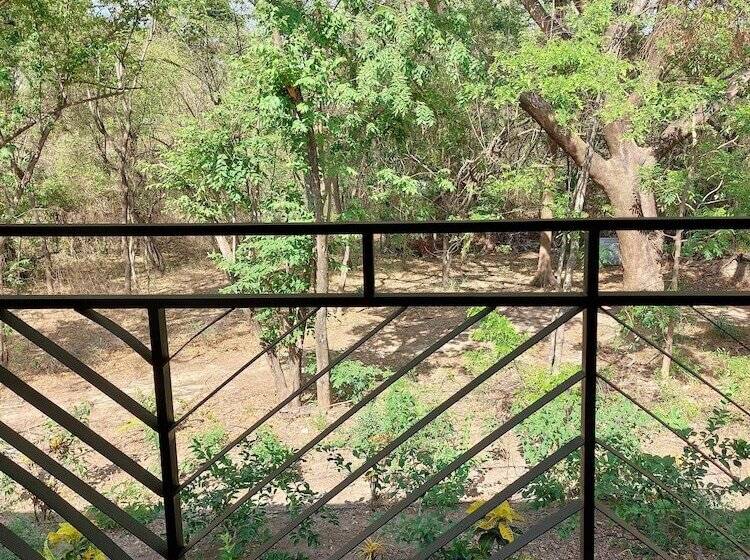 호텔 Palm Beach Inn