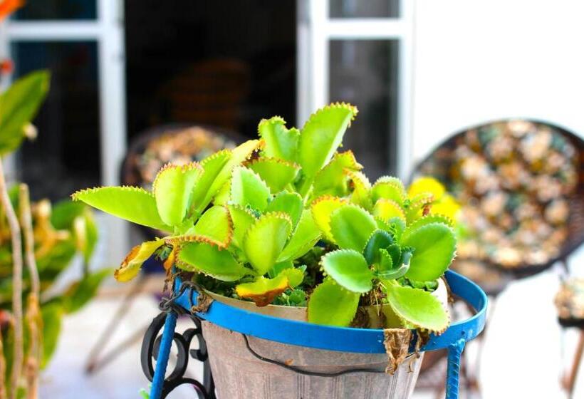 Пансион Pousadas Casa Do Ivo Santarém