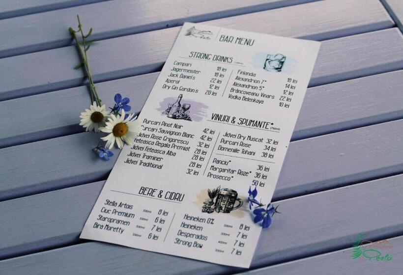 Pensiunea Perla Durau