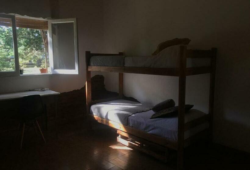 Bed and Breakfast Galpón Creativo Ecohostel