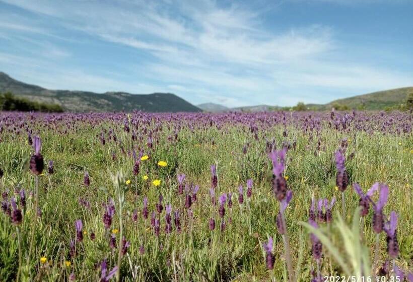 Casa De Huéspedes B&b Villa De Las Hortensias