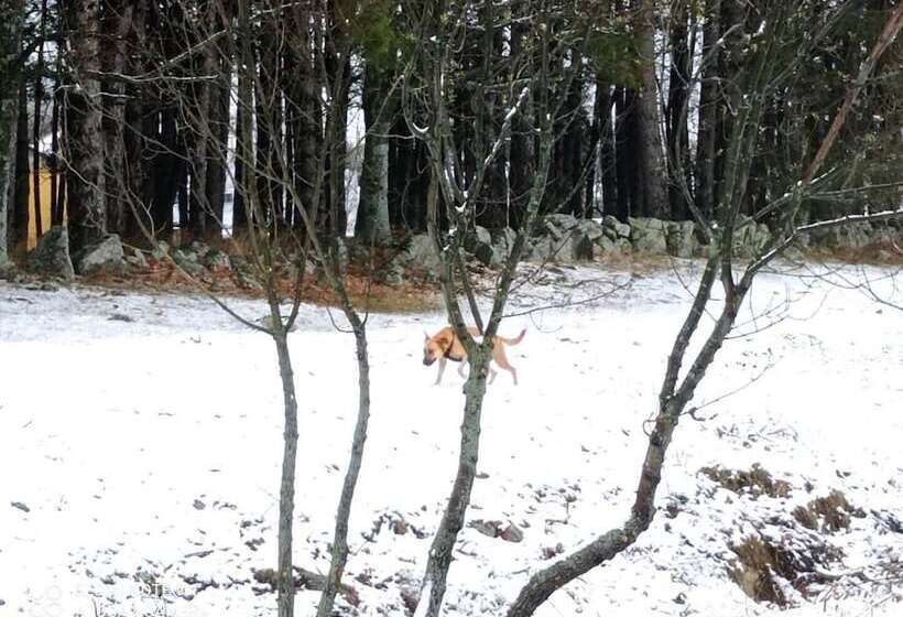 Casa De Huéspedes B&b Villa De Las Hortensias