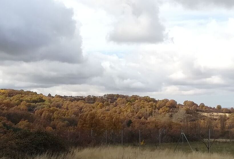 Casa De Huéspedes B&b Villa De Las Hortensias