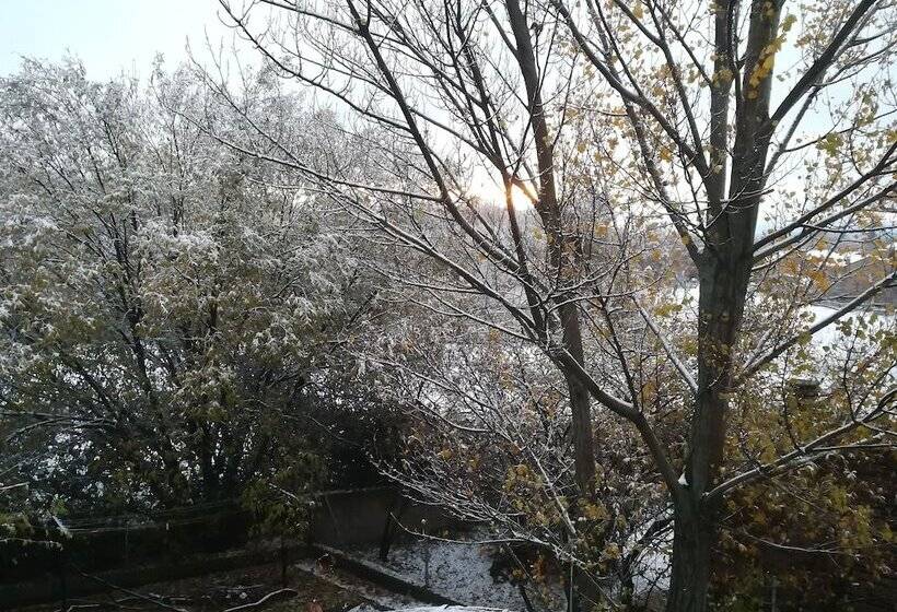 Casa De Huéspedes B&b Villa De Las Hortensias