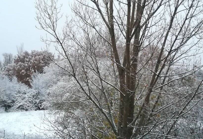 Casa De Huéspedes B&b Villa De Las Hortensias