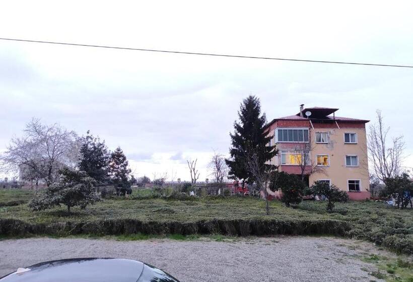 Elva Suites Ardeşen