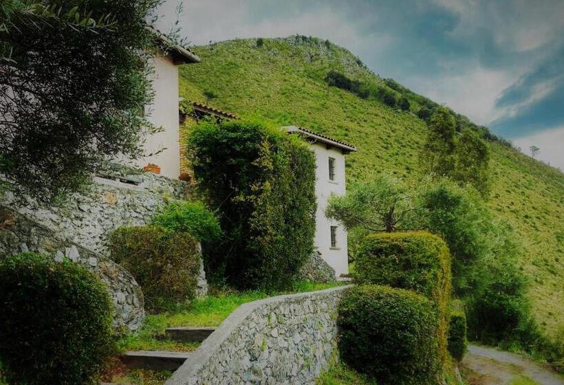 호텔 Agriturismo Nappi   Azienda Agricola Piano Delle Vigne