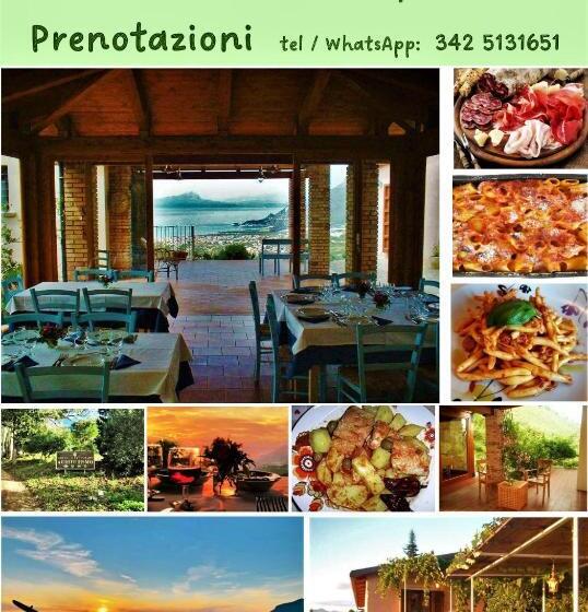 호텔 Agriturismo Nappi   Azienda Agricola Piano Delle Vigne