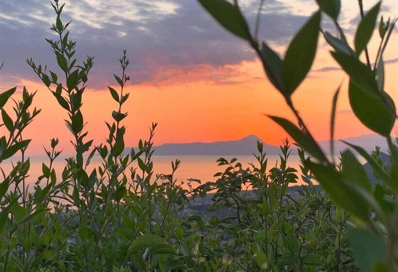 호텔 Agriturismo Nappi   Azienda Agricola Piano Delle Vigne