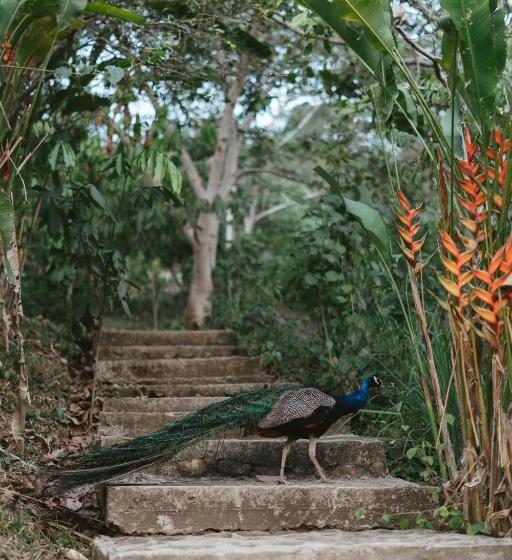 هتل Villa Lu Amazon Ecolodge
