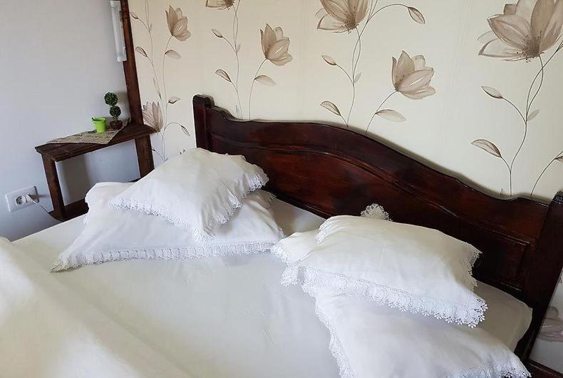 پانسیون Casa De Vacanța Valea Argesului